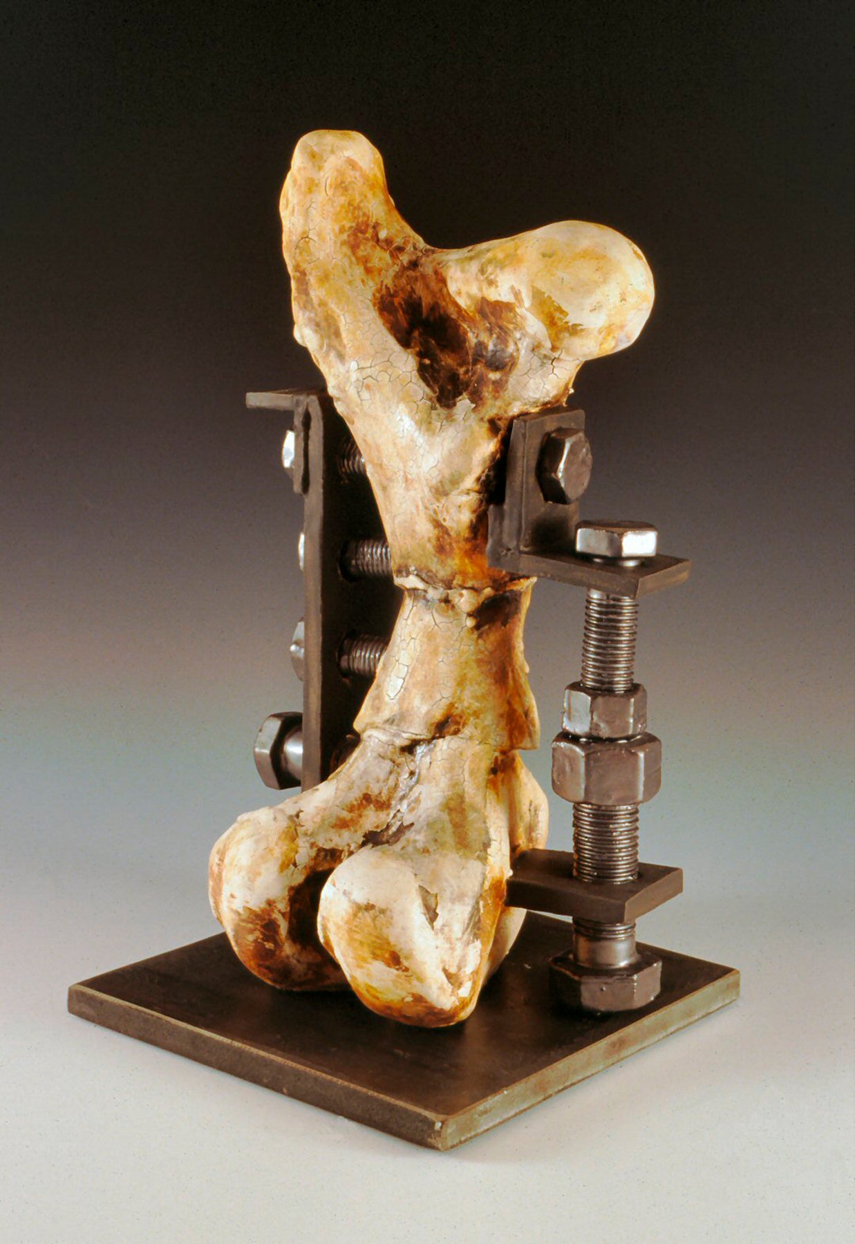 A sculpture of a fossilized bone held in a metal vice against a gradient background